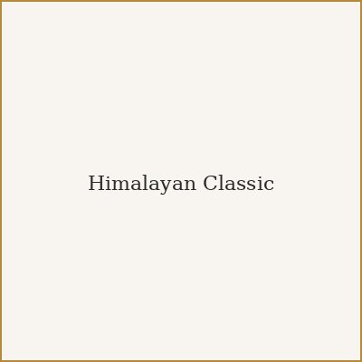 Himalayan Classic Pashmina Shawl in soft beige
